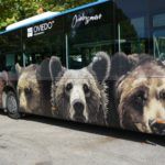 Rotulación de autobús