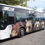 Rotulación de autobús