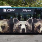 Rotulación de autobús