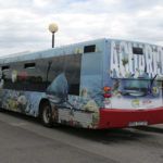 Rotulación integral de autobús para el Acuario de Gijón